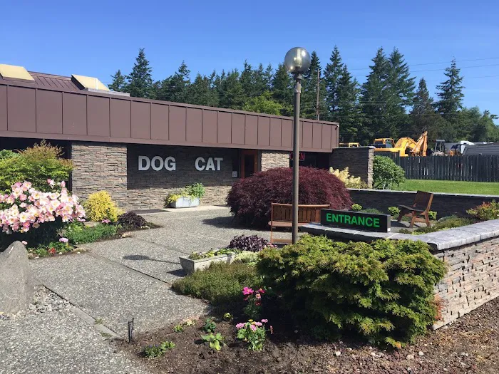 Best Friend's Veterinary Center Picture 5