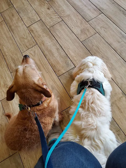 Best Friend's Veterinary Center Picture 7