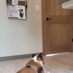 Heritage Veterinary