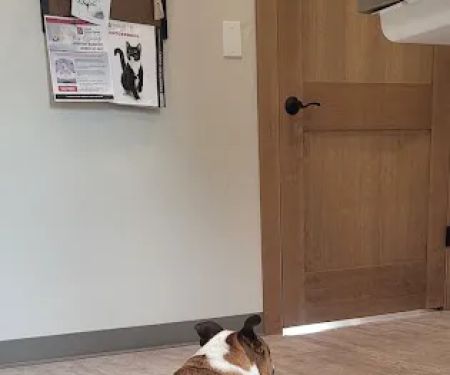 Heritage Veterinary