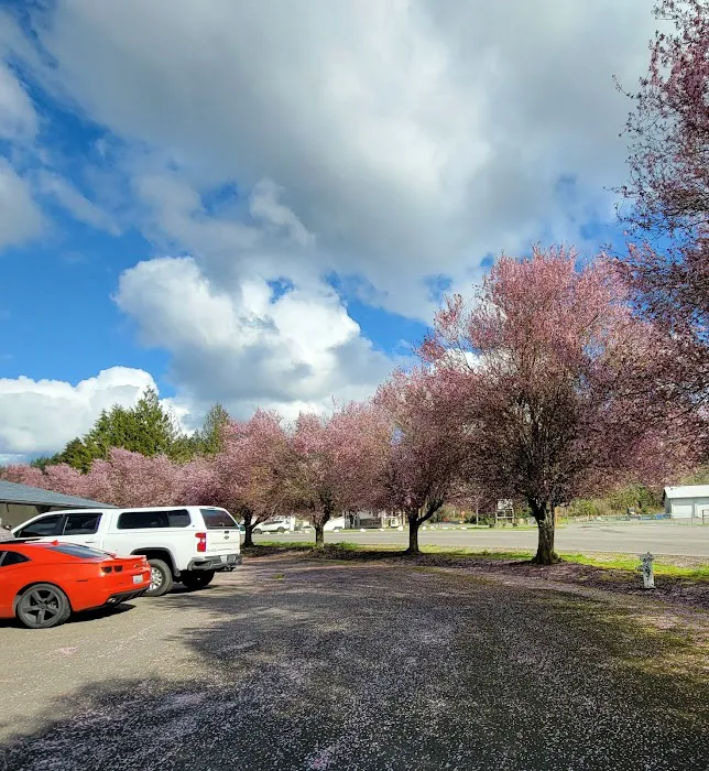 Tenino Veterinary Clinic LLC Picture 5