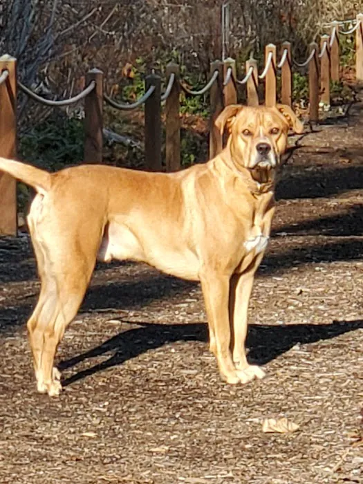 Tenino Veterinary Clinic LLC Picture 7