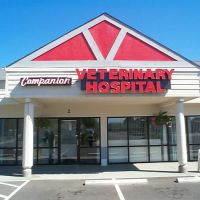 Companion Veterinary Hospital ico