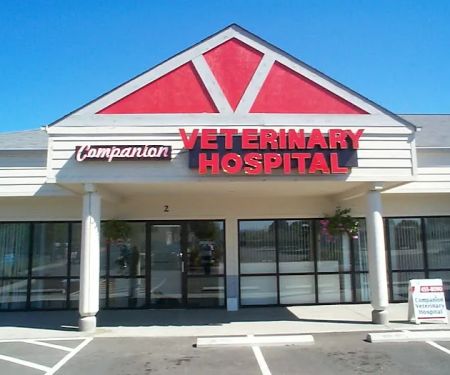 Companion Veterinary Hospital