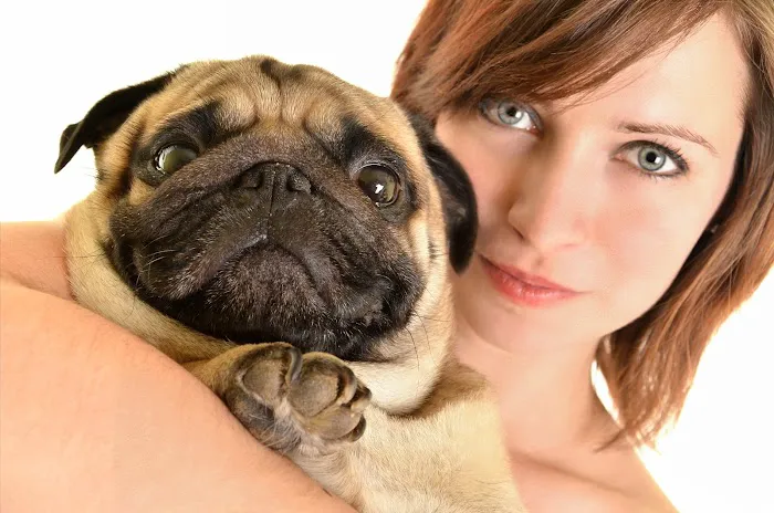 Companion Veterinary Hospital Picture 4