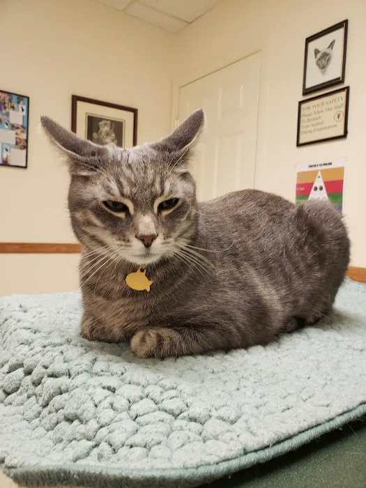 Companion Veterinary Hospital Picture 2
