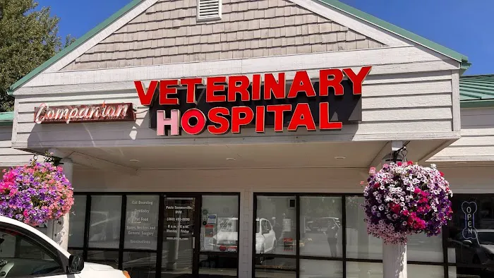 Companion Veterinary Hospital Picture 10
