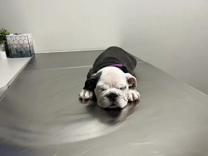 Rainier West Veterinary Hospital Picture 8