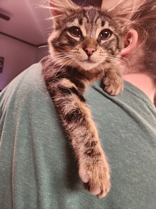 Rainier West Veterinary Hospital Picture 5