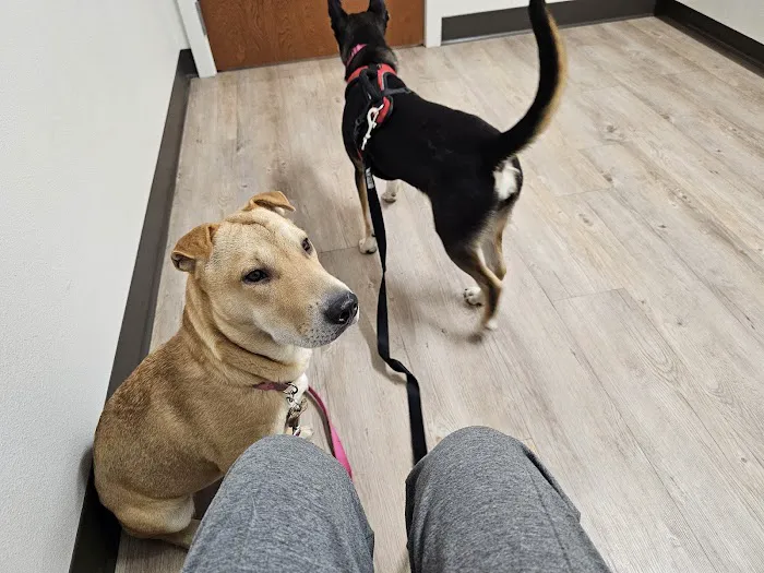 Pinehurst Veterinary Hospital and Surgical Center Picture 2