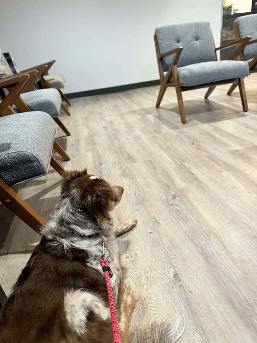 Pinehurst Veterinary Hospital and Surgical Center Picture 5