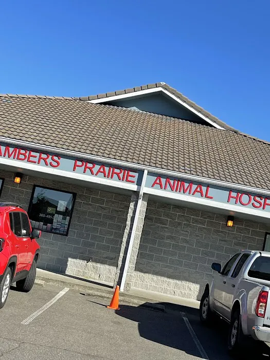 Chambers Prairie Animal Hospital Picture 4