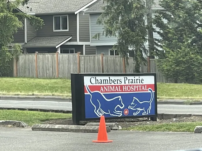 Chambers Prairie Animal Hospital Picture 7