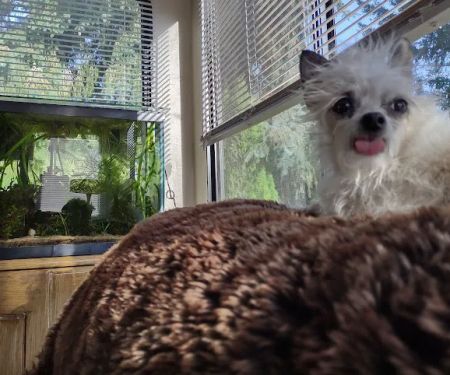 TLC Veterinary Clinic