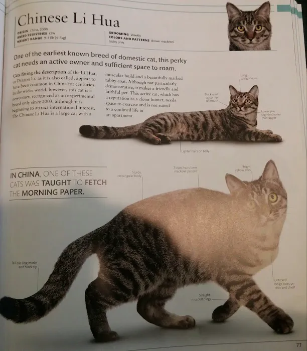Eye Clinic For Animals Picture 8
