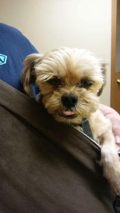 Evergreen Veterinary Hospital Picture 10