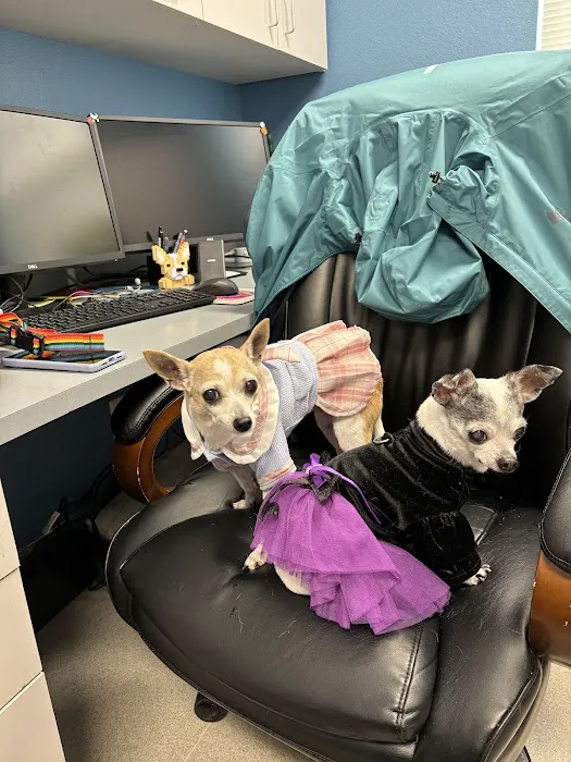 Capital Pet Urgent Care Picture 6