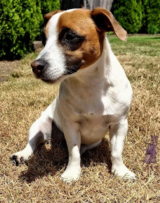 Olympia Veterinary Hospital Picture 1
