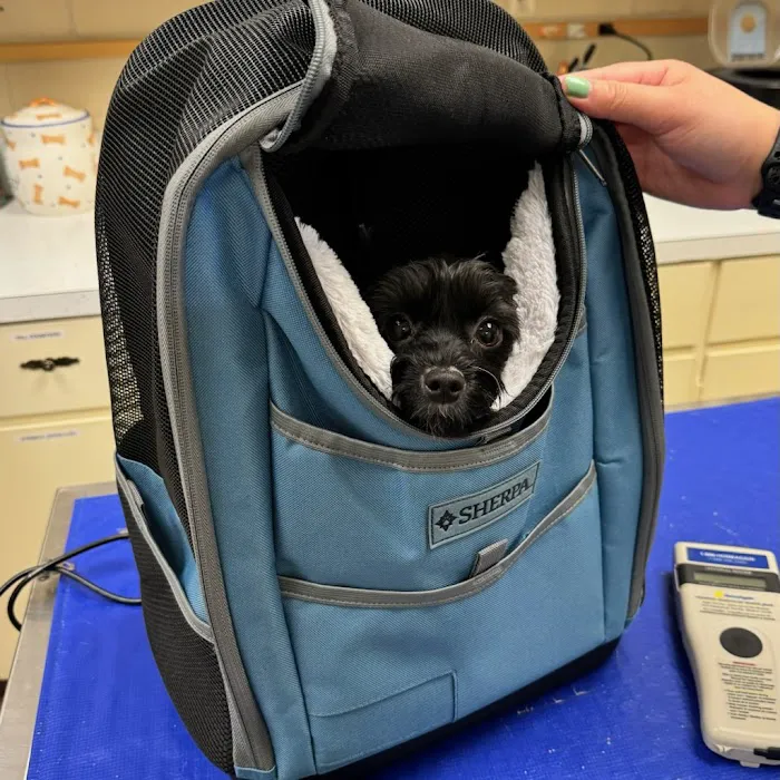 Olympia Veterinary Hospital Picture 2