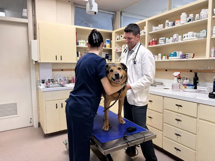 Olympia Veterinary Hospital Picture 4