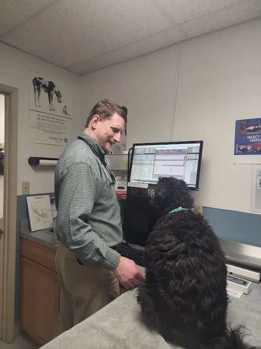 West Olympia Pet Hospital Picture 10