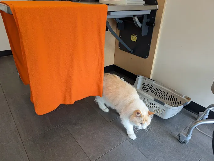 Banfield Pet Hospital Picture 6