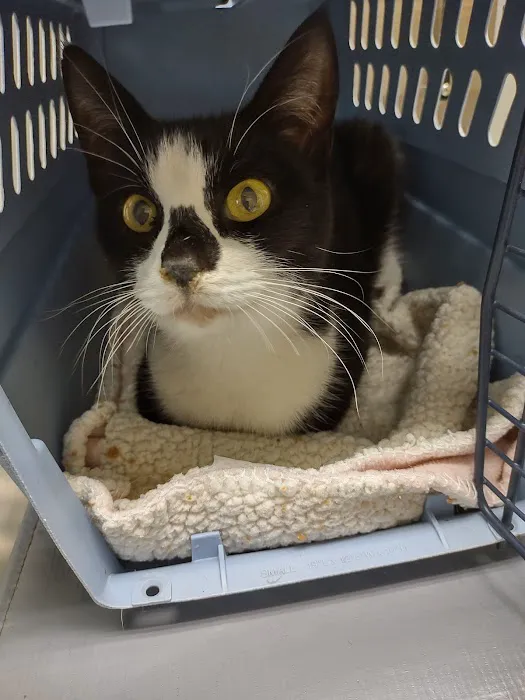 Boulevard Animal Clinic Picture 8