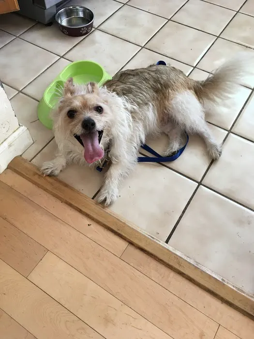 Lake Forest Animal Clinic Picture 7
