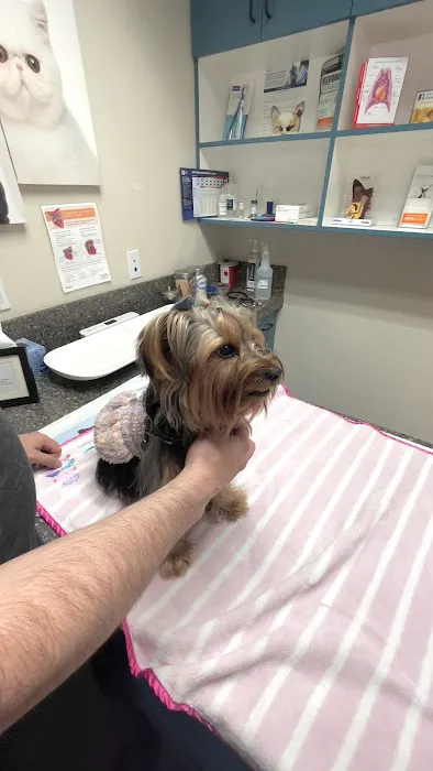 Lake Forest Animal Clinic Picture 4