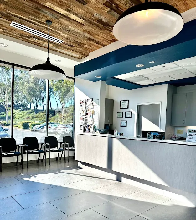 Rancho Niguel Animal Hospital Picture 6
