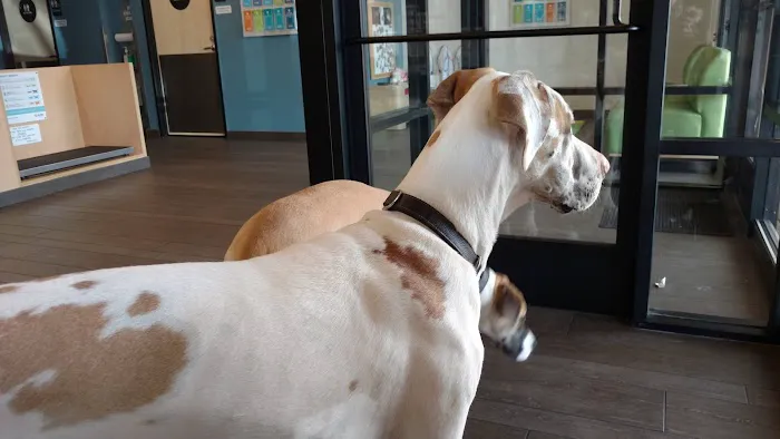 Banfield Pet Hospital Picture 7