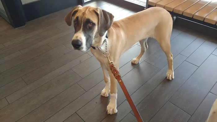 Banfield Pet Hospital Picture 3