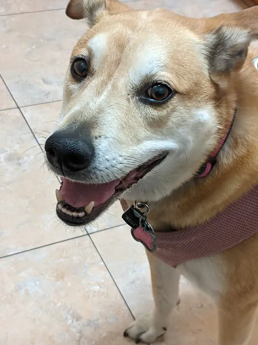 Trinity Pet Hospital Picture 2
