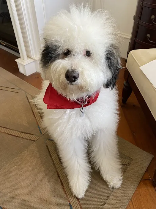 Trinity Pet Hospital Picture 9