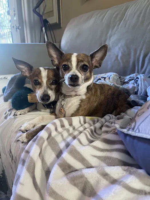 Trinity Pet Hospital Picture 8