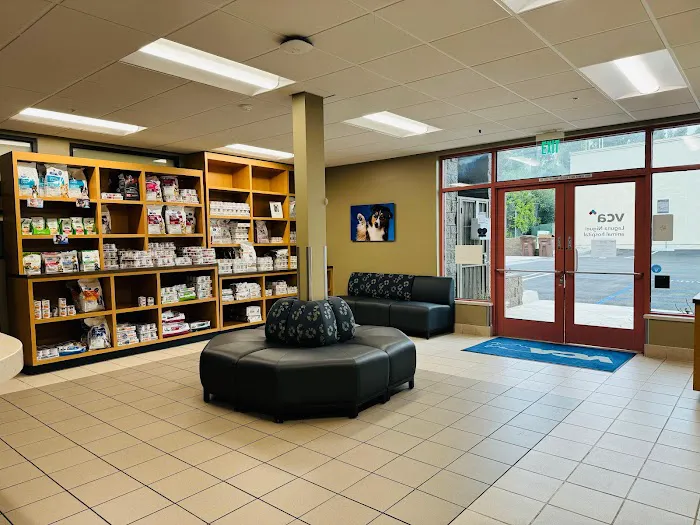 VCA Laguna Niguel Animal Hospital Picture 7