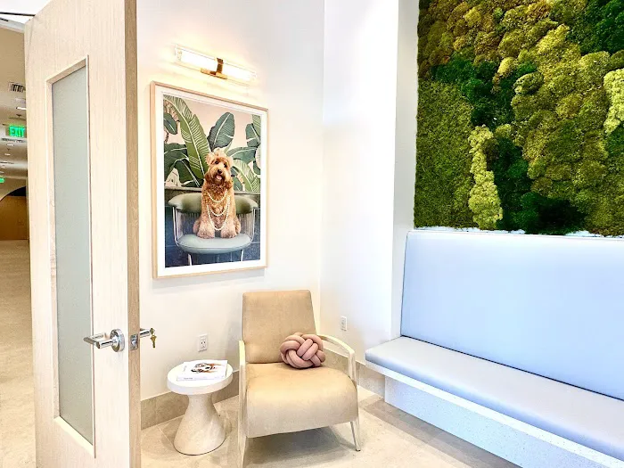 Rise Pet Health Emergency & Specialty Hospital Picture 10