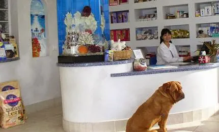 Monarch Veterinary Hospital Picture 7