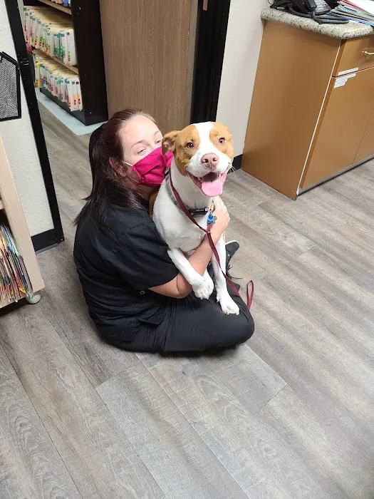 Mission Hills Pet Care Center Picture 7