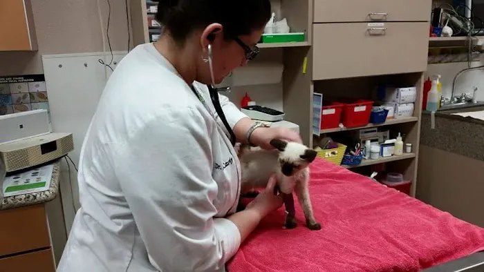 Mission Hills Pet Care Center Picture 4