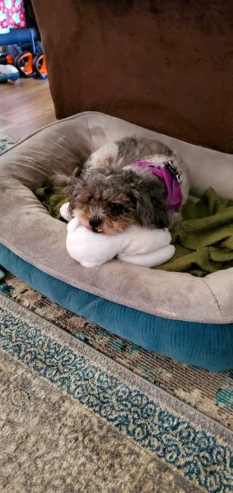 Mission Park Pet Hospital Picture 5