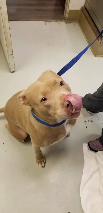 Mission Park Pet Hospital Picture 2