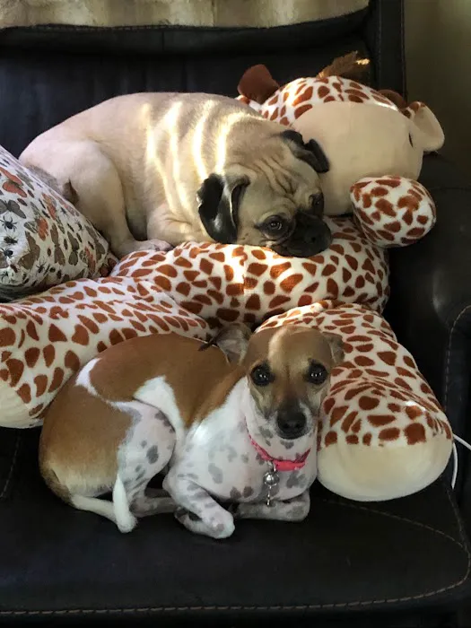 Mission Park Pet Hospital Picture 9