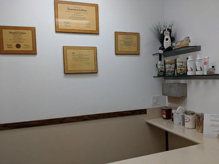 Dana Point Animal Hospital Picture 3
