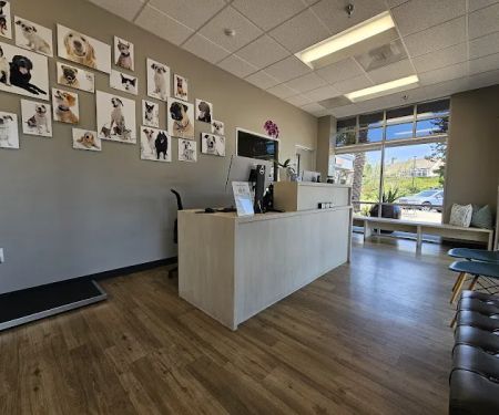 Dana Point Animal Hospital