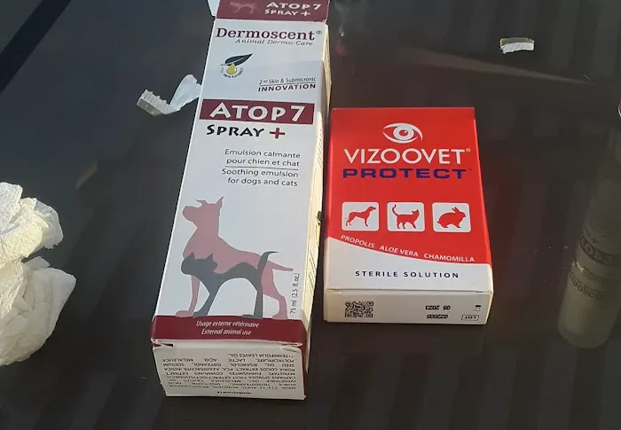 Petnetwork LLC Picture 2