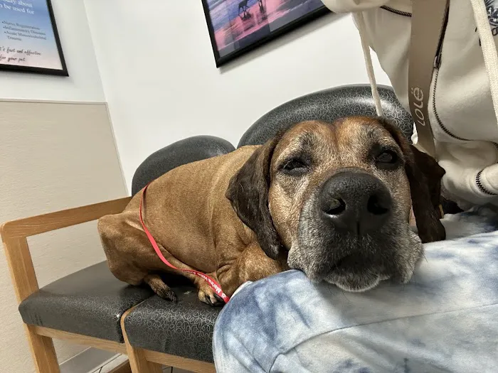 Marina Hills Animal Hospital Picture 2