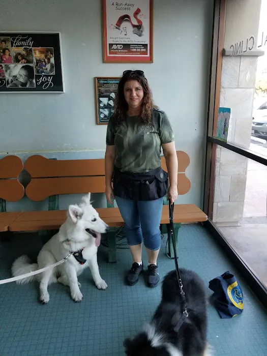 La Paz Animal Clinic Picture 5