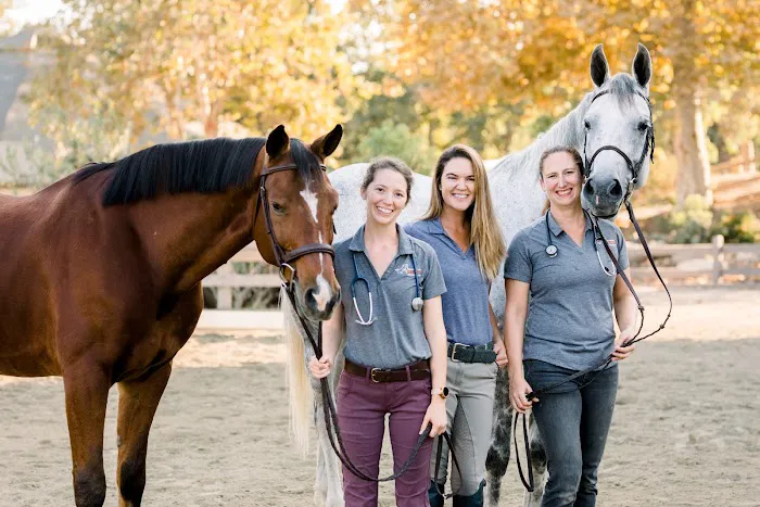 Orange County Equine Veterinary Services Picture 2