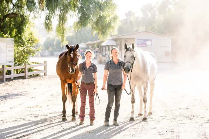 Orange County Equine Veterinary Services Picture 1